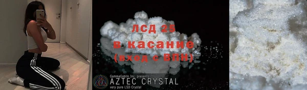 крисы Алзамай
