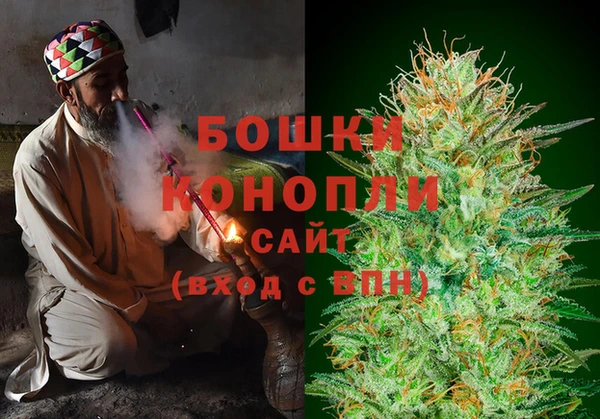 ПСИЛОЦИБИНОВЫЕ ГРИБЫ Краснотурьинск