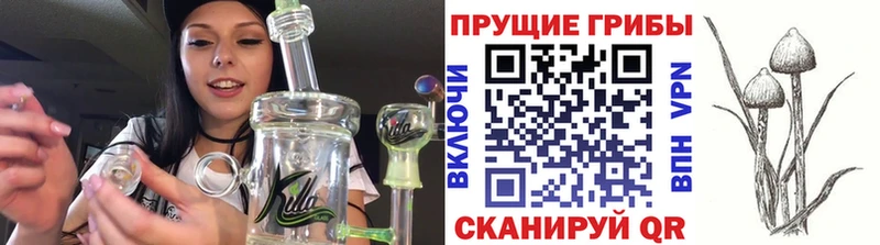 что такое   Назрань  mega как войти  Галлюциногенные грибы прущие грибы 